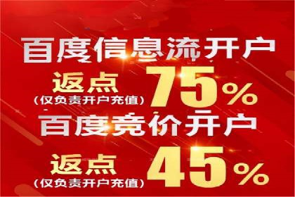 百度SEO推广公司经典之作：打造行业领先品牌